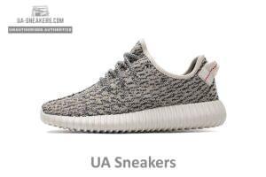 AQ4832 adidas Yeezy Boost 350 Turtle Dove Basf Boost